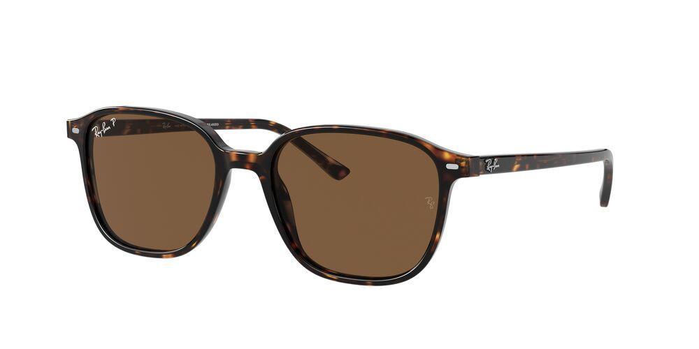 Ray-Ban Leonard Polarised Sunglasses 