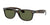 Ray-Ban New Wayfarer Sunglasses Havana w/ Green 