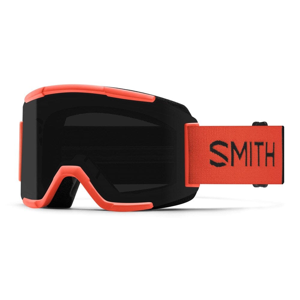 Smith Squad Snow Goggles 2024