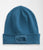 The North Face Dock Worker Recycled Beanie Monterey Blue 