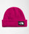 The North Face Salty Dog Beanie Fuschia Pink 