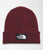 The North Face TNF™ Logo Box Cuffed Beanie Cordovan 