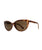 Volcom Butter Sunglasses Matte Torte / Bronze 