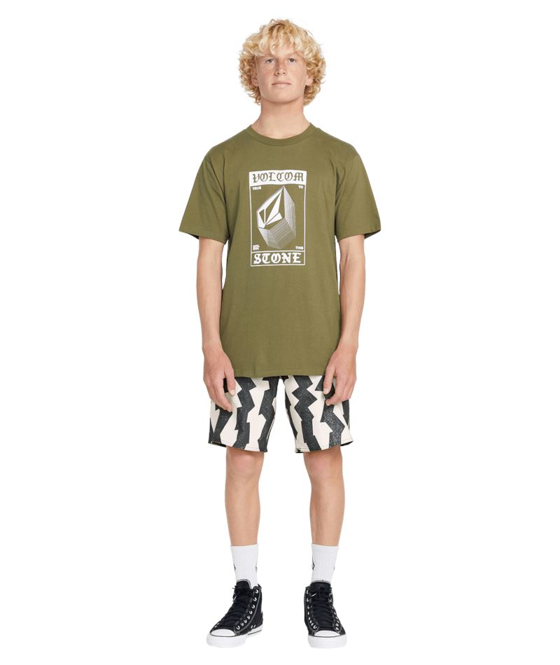 Volcom Medley Stoney 19" Trunks 